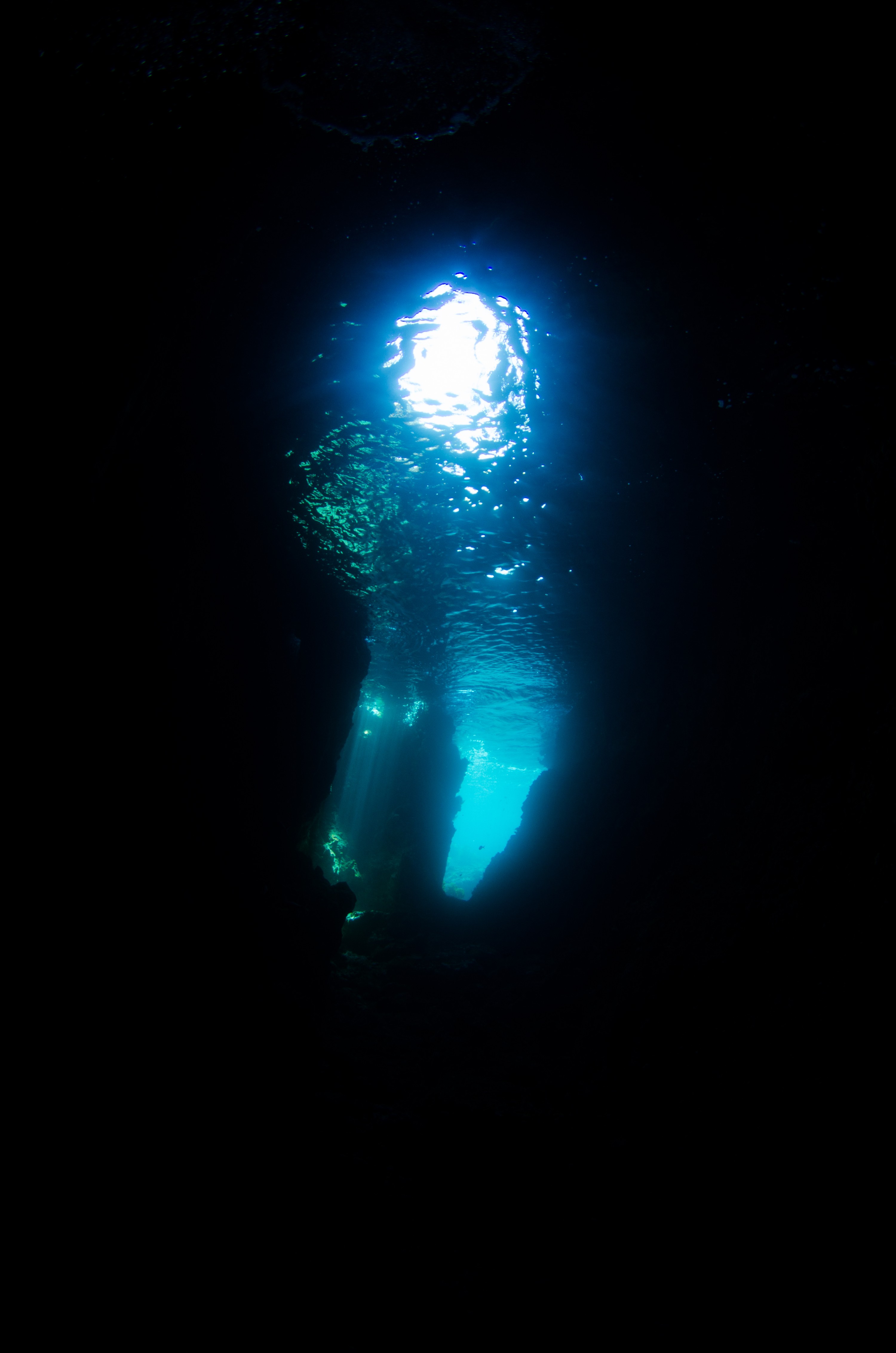 DSC_9740 – Jans, Poor, Tunnel, crispin, fish, knights, marine, new, northern, northland, nz, reserve, scorpion, zealand, JAN17